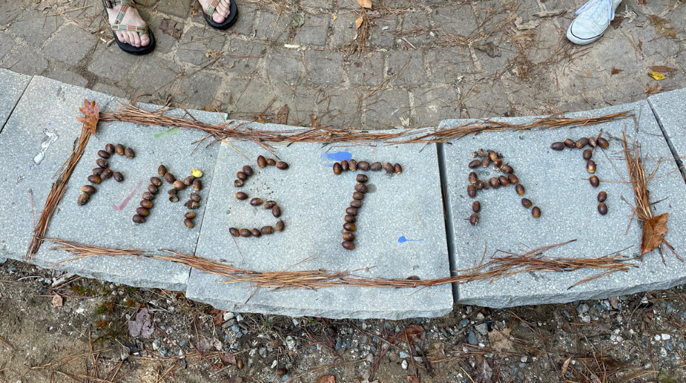  Photo Slideshow - fmSTAT About Us 